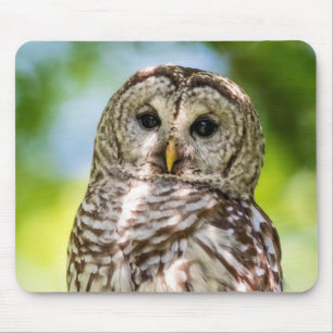 Barred Owl Mouse Pad