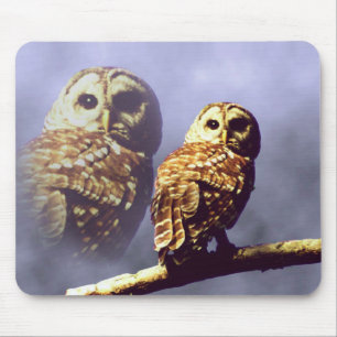 Barred Owl Mousepad