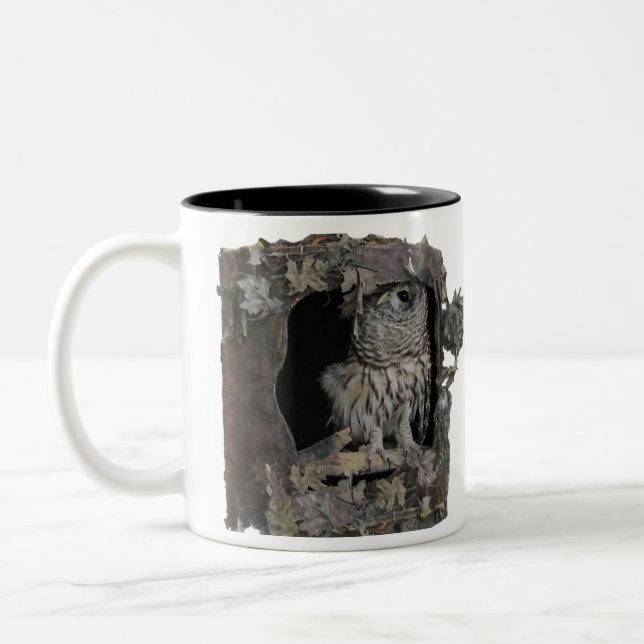 Barred Owl Mug - Here's Looking at You! (Left)
