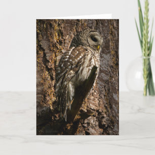 Barred Owl Mum Thank You Card