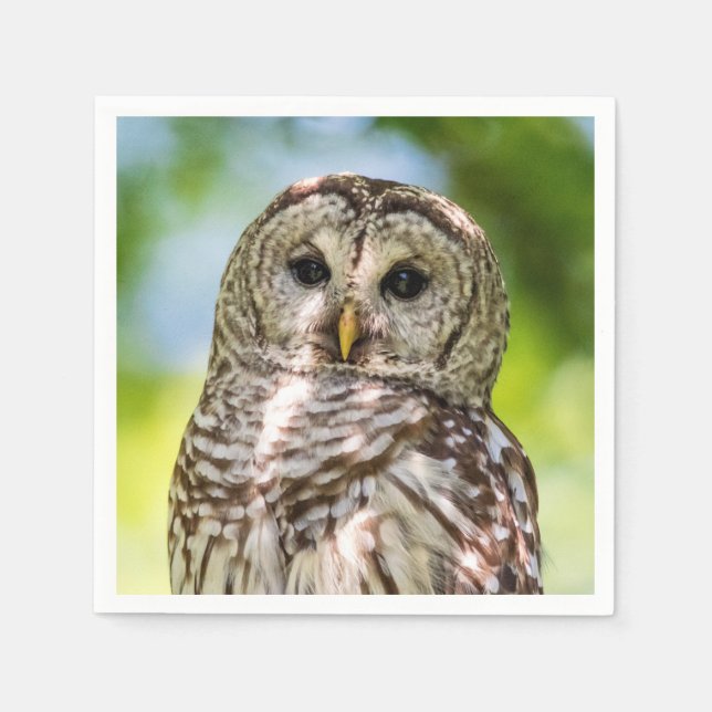 Barred Owl Napkin (Front)