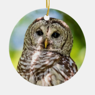 Barred Owl of the Hudson Valley – Nature & Wildlif Ceramic Ornament