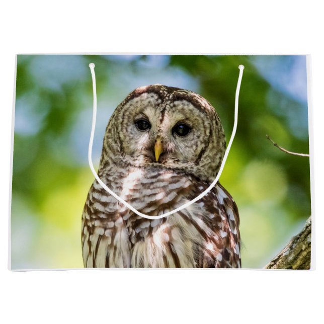 Barred Owl of the Hudson Valley – Nature & Wildlif Large Gift Bag (Front)