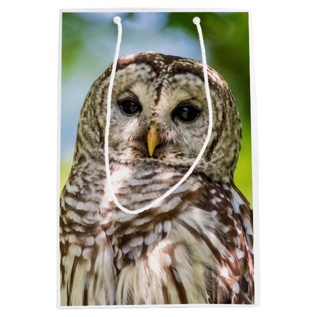 Barred Owl of the Hudson Valley – Nature & Wildlif Medium Gift Bag (Front)