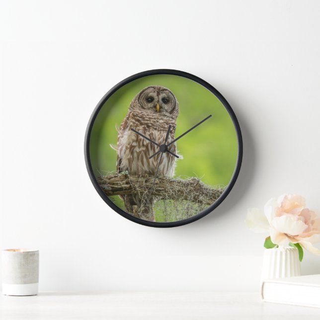 Barred Owl On Tree Limb Clock (Home)
