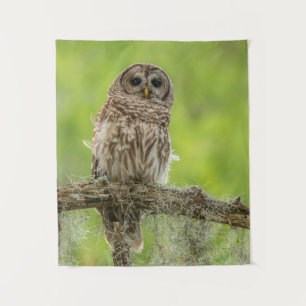Barred Owl On Tree Limb Tapestry