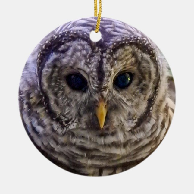 Barred Owl Ornament (Front)