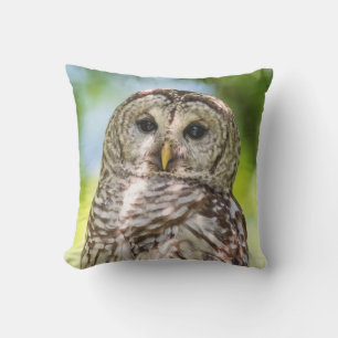 Barred Owl Outdoor Cushion