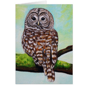 Barred Owl Painting