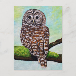 Barred Owl Painting Postcard