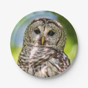 Barred Owl Paper Plate