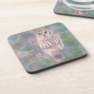 Barred Owl Pastel Digital Oilpainting Coaster