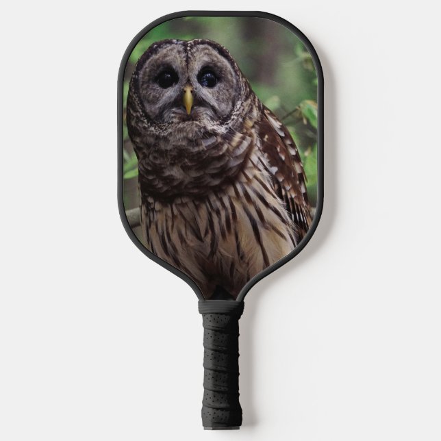 Barred Owl Pickleball Paddle (Front)