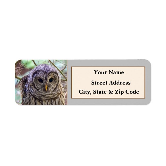 Barred Owl Return Address Labels (Front)