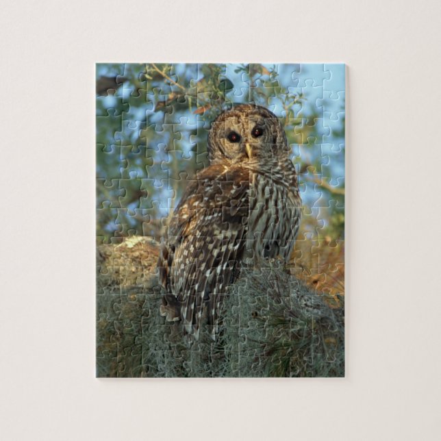 Barred Owl roosting in some Spanish Moss Jigsaw Puzzle (Vertical)