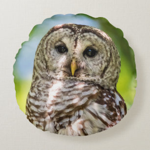 Barred Owl Round Cushion