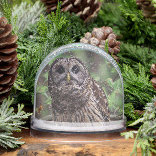 Barred Owl Snowglobe
