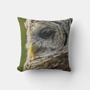 Barred Owl, Strix varia, Michigan Cushion