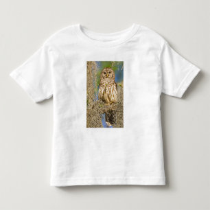 Barred Owl (Strix varia) perched in cypress tree Toddler T-Shirt