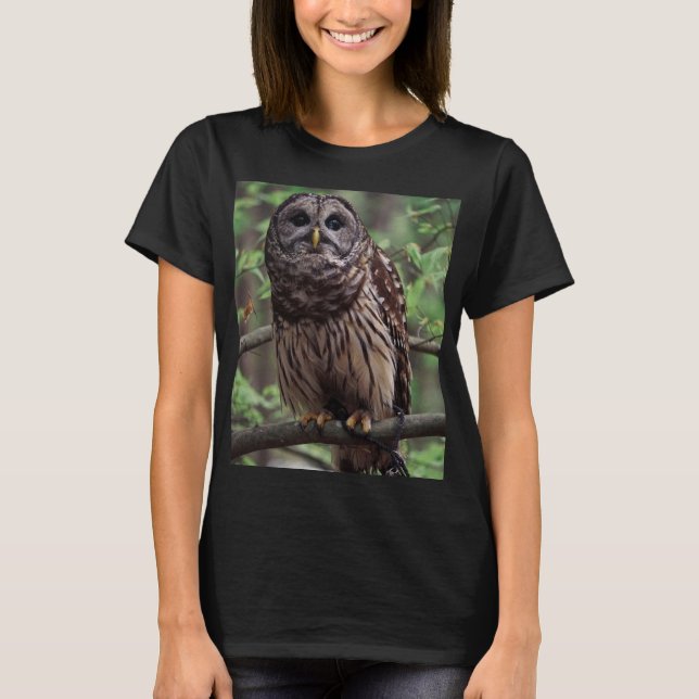 Barred Owl T-Shirt (Front)