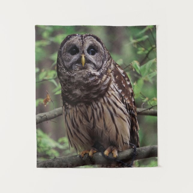 Barred Owl Tapestry (Front)