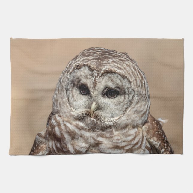 Barred Owl Tea Towel (Horizontal)