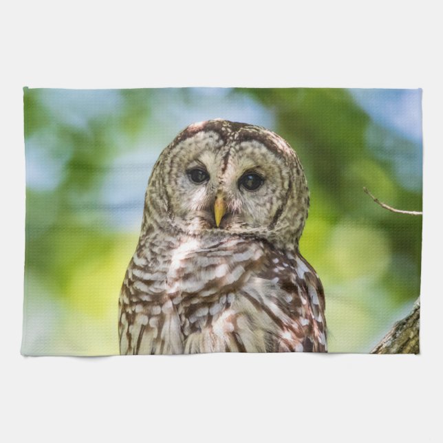 Barred Owl Tea Towel (Horizontal)
