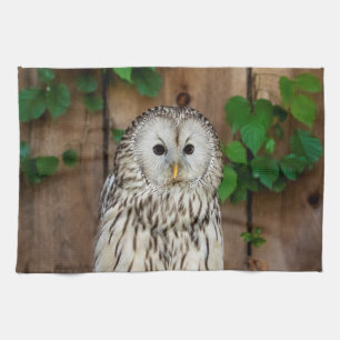 Barred Owl Tea Towel