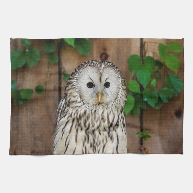 Barred Owl Tea Towel (Horizontal)
