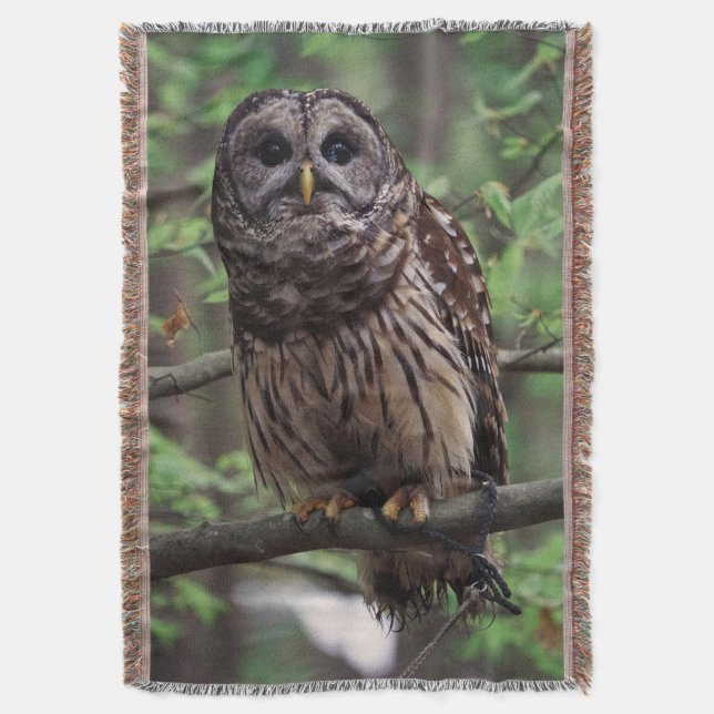 Barred Owl Throw Blanket (Front Vertical)