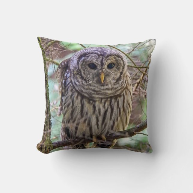 Barred Owl Throw Pillow (Front)