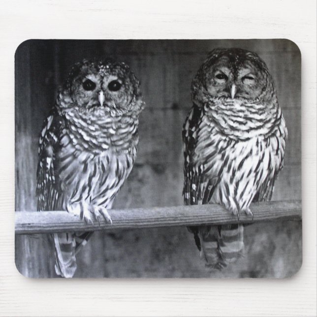 Barred Owls Mouse Pad (Front)