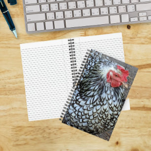 Barred Plymouth Rock Chicken Notebook