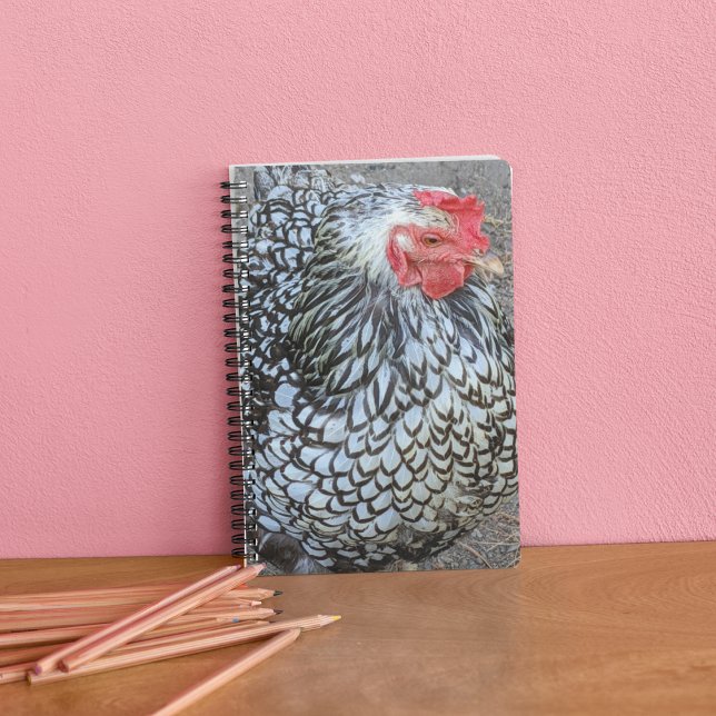 Barred Plymouth Rock Chicken Notebook (In Situ)