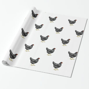 Barred Plymouth Rock Heritage Breed Chickens Wrapping Paper