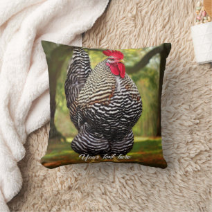 Barred Plymouth Rock Rooster Cushion