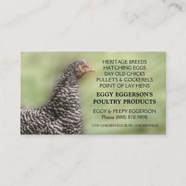 Barred Rock Chicken Egg Farmer Business Card (Front)