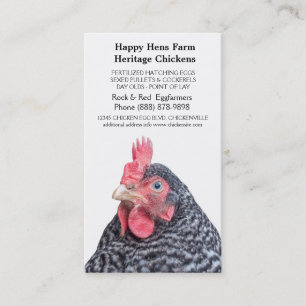 Barred Rock Chicken Egg Farmer Business Card