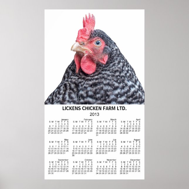 Barred Rock Chicken Wall Yearly Calender 2013 Poster (Front)