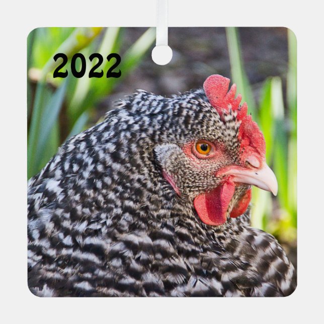 Barred Rock Hen  - Pet Chicken Metal Tree Decoration (Front)