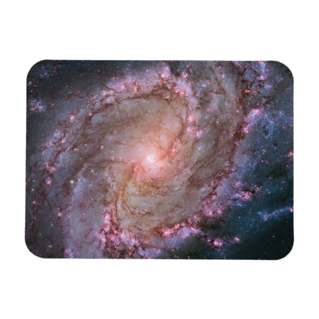 Barred Spiral Galaxy Messier 83. Magnet (Horizontal)