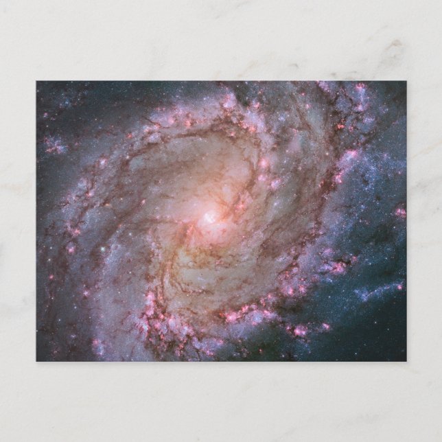 Barred Spiral Galaxy Messier 83. Postcard (Front)