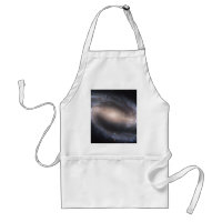 Barred Spiral Galaxy