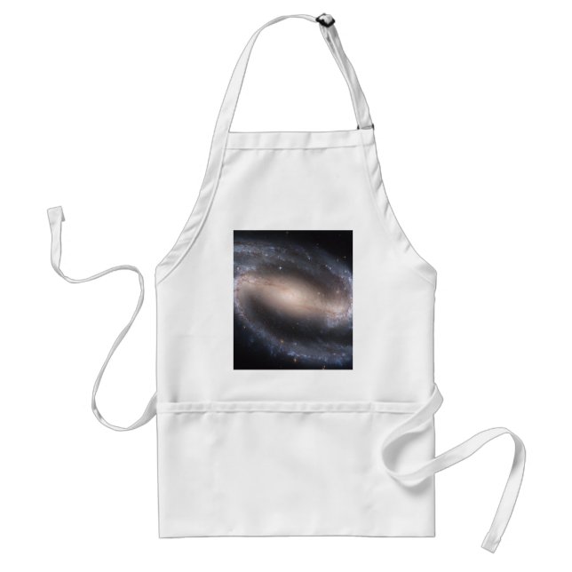 Barred Spiral Galaxy Standard Apron (Front)