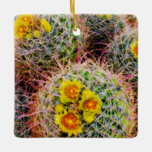 Barrel cactus close up, California Ceramic Tree Decoration