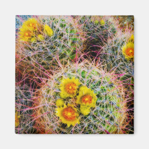 Barrel cactus close up, California Magnet