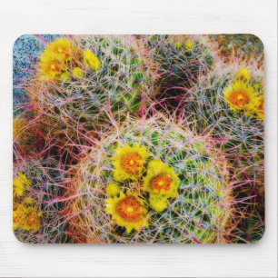 Barrel cactus close up, California Mouse Pad