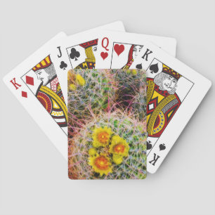 Barrel cactus close up, California Playing Cards