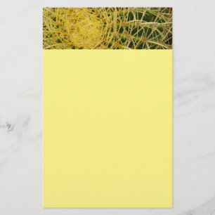 Barrel Cactus Closeup Abstract Nature Photography Stationery