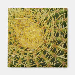 Barrel Cactus Closeup Nature Photography Magnet